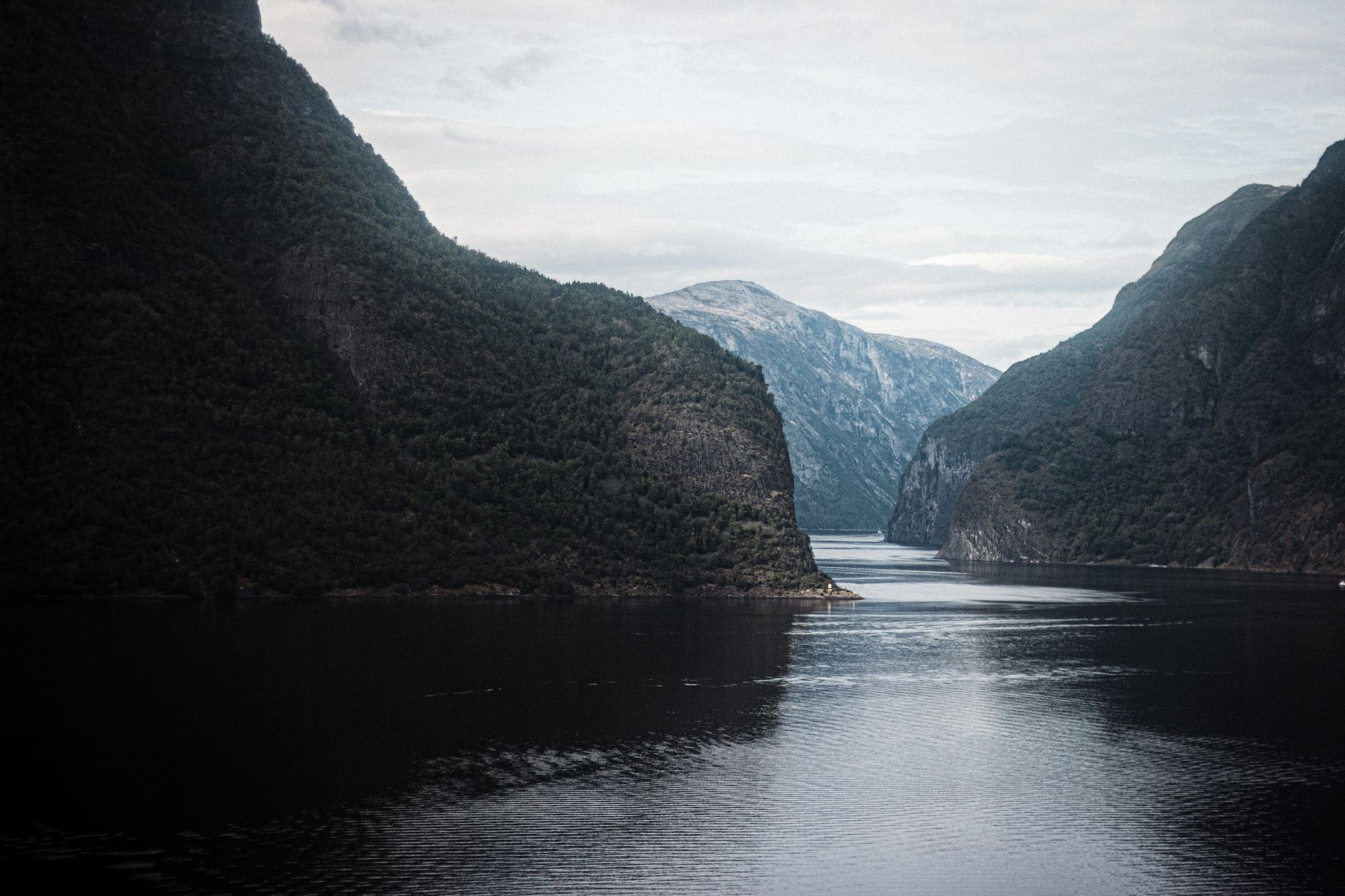 Norwegian Fjords: Preikestolen, Geiranger and the Flåm Railway